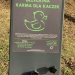 Kaczkomat w Kielcach