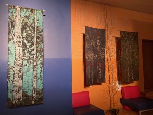 474181195 1165653981570894 3021293832563462518 n