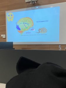 484583278 633651726229057 7767891341147969089 n