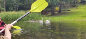 Podróż kajakiem na trasie Krutyń - Ukta