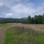 Tarnica już za mną