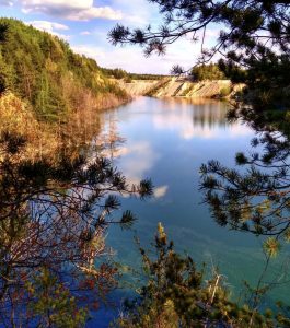 inbound2451251795788186279